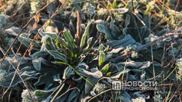 1 ��� ��������� ���������. �� ������ ��������������, ����� � ����� ����������� � ������� ��������� �� 2 �C, �� ����� � �� 6 �C. ������� �������������