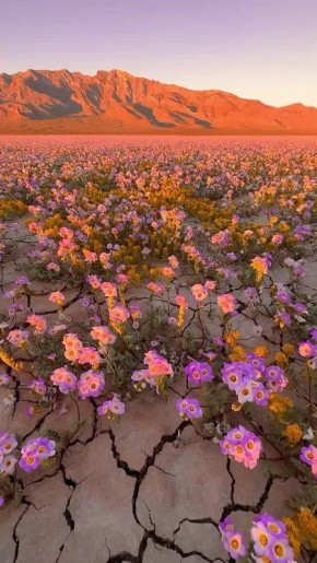 � ������ ������ � ��� ��������� ������ ������������� � ����� ������ �������� ��� � �����������