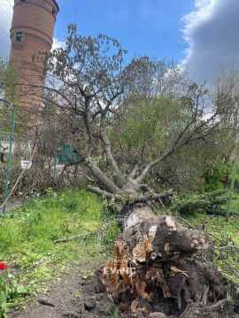 �������� ������ ������� �������� ����������� ����� �� ����� �������� ���� � ���������