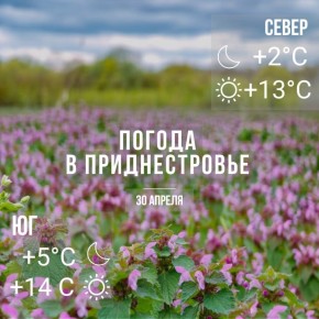 ���� � �� +14��. �������� ������, ��� �������