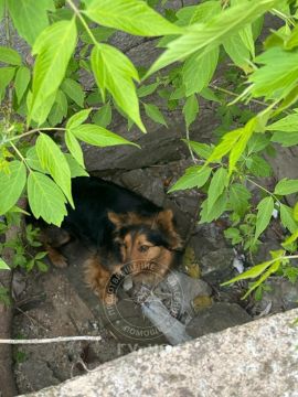 � ���������� ��������� ������� ������, ��������� �� ��������� ����