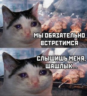 ������ ����� ���� �������� ��� ���� �� �� ����