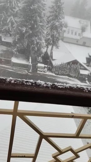 ��� �������� � ��������� ����� ����� ����