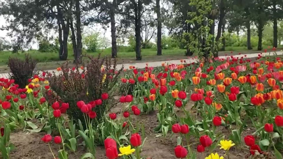 �� ���������� ��������� �������� ��������, ���������� �������������� �������� � ��������� ����� � ���, ������ � ������� 1944 ���� �������� �����-����������� ��������