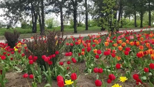 �� ���������� ��������� �������� ��������, ���������� �������������� �������� � ��������� ����� � ���, ������ � ������� 1944 ���� �������� �����-����������� ��������