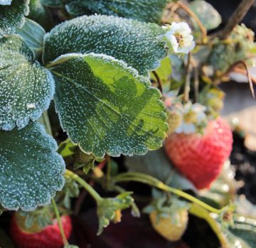 ���� �� 1 ��� ����� ����� ����� �������� �� ���� ������������ �� ��� ������� ����������