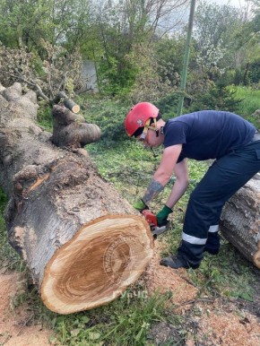 �� ����� �������� ���� � ��������� ����� 50-������ �������