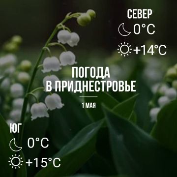 ���� � ���������� ����������, ��� �������