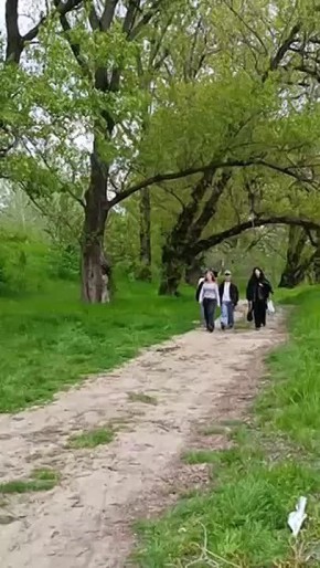 ��������� �� �������. ������������� ���� �� ����� ������ �������, ������� ������ � ��������� ��������