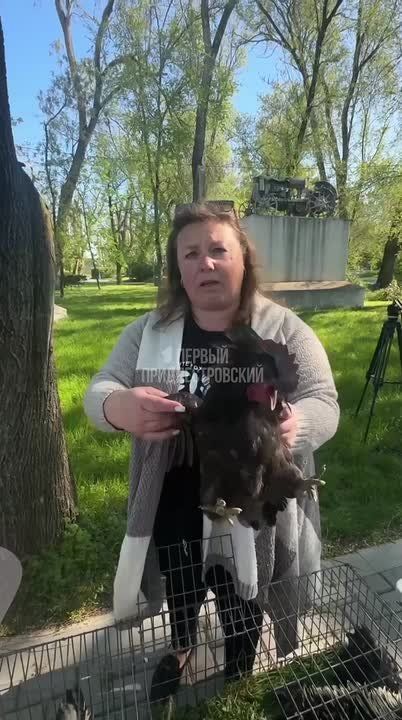 В парке Родина в Чобручах – не протолкнуться