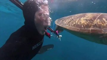 �������� ����� ������������ �������, ����� ������...���� ��� ���� � ����� ����� ������������ �������� ������ �� ����� �����