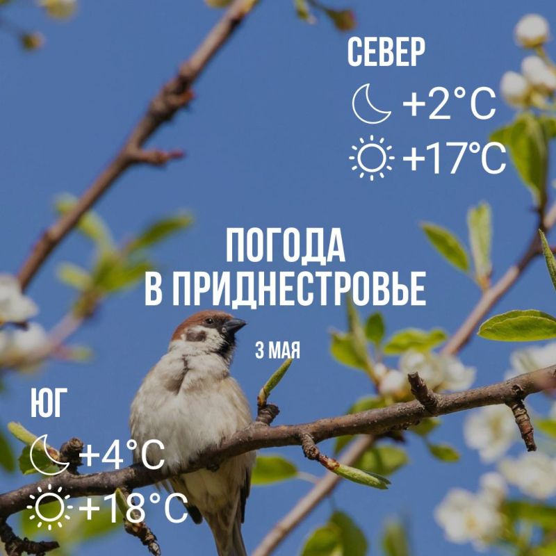 ���� � �� +18��, ��� �������