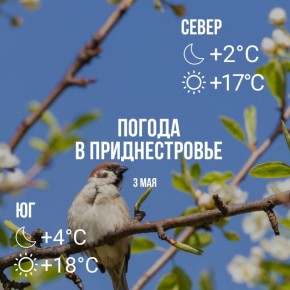���� � �� +18��, ��� �������