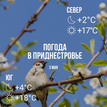 ���� � �� +18��, ��� �������