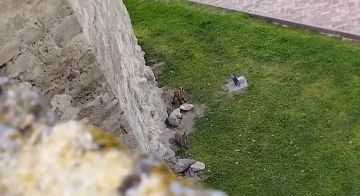 ����� ��� ���������� � ���������� ��������