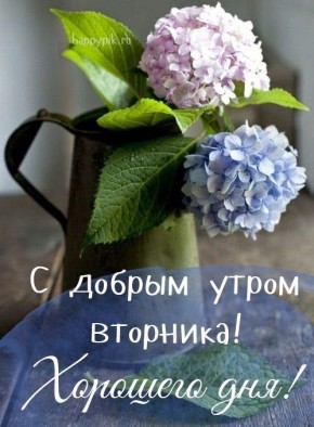 5 ��� - �� ���������� ����� �������� ���������, � ��������� ����� ������ ���������