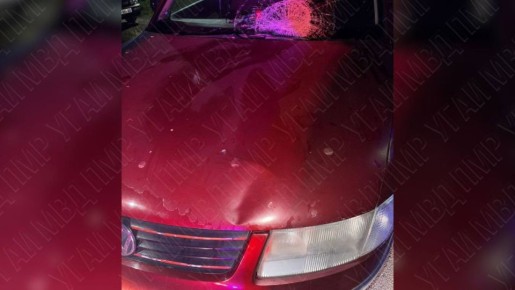 � ���� ���� (���������������� �����) �������� ������� ���������� ���� 12-������� �������������