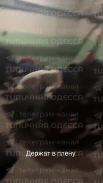 ��������, ��� ��� ������� ��� � ������