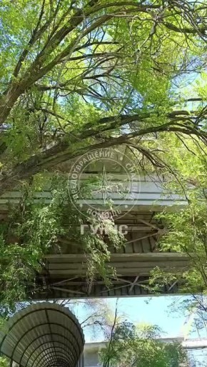 ����� ������� �� ���������� ������, � ������ ������ ���������, �� ���������� ���� ����� ������