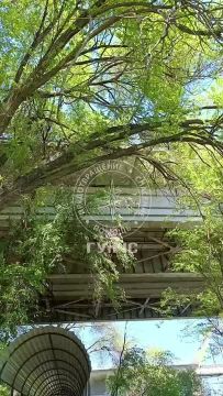 ����� ������� �� ���������� ������, � ������ ������ ���������, �� ���������� ���� ����� ������