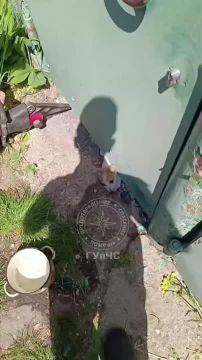 �� ����� ���������� ��������� �������� �����, �� ������� ������ ��� ������� � �������