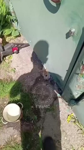 �� ����� ���������� ��������� �������� �����, �� ������� ������ ��� ������� � �������
