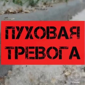 ��������: �������� ��������
