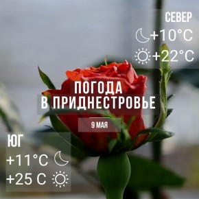 ����� ������� �����. ���� � �� +25��, ������� �����