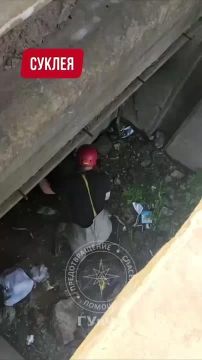 ��������� ��������� �������� ������ �� ������ ���� �������