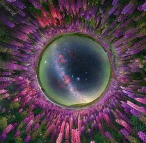������ ���� �������� ���� �� ������ Milky Way Photographer of the Year 2026