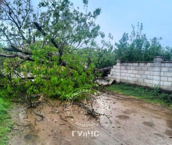 Под дождём спасатели пилили орех в Дубоссарах