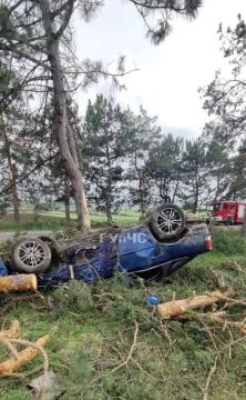 «Опель» врезался в дерево и перевернулся у дороги Каменка – Красный Октябрь