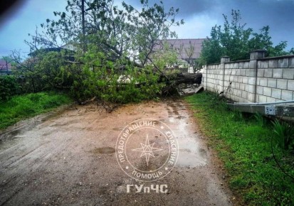 В Дубоссарах дерево упало и разрушило забор из котельца