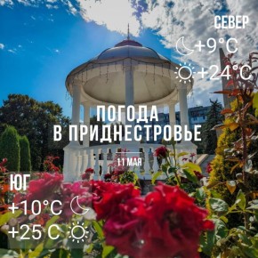 ���� � �� +25��, ��� �������