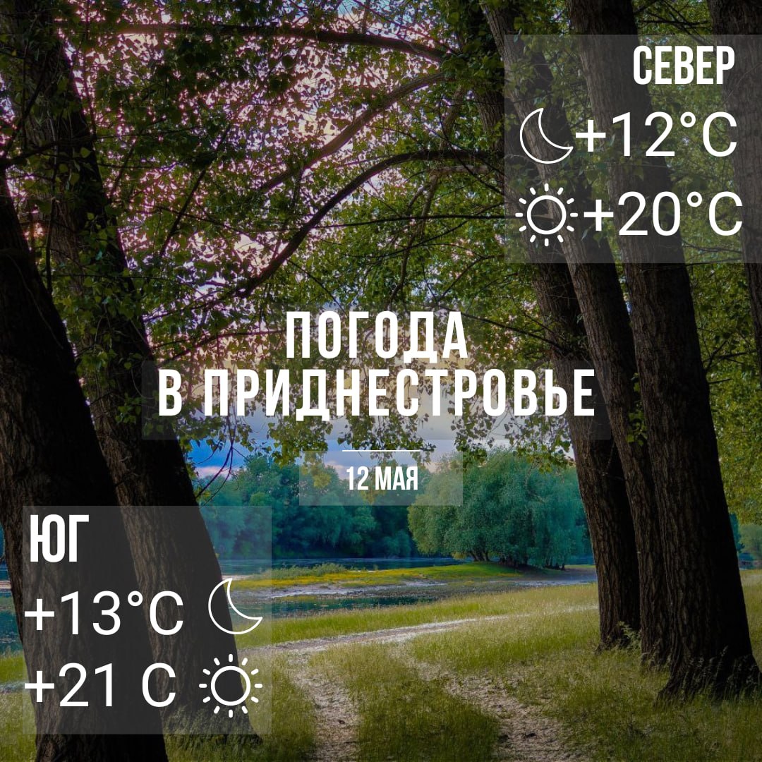 Днём – до +21°С. Местами дожди, возможно гроза