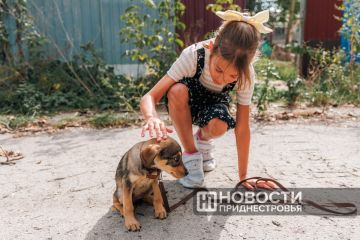 В Приднестровье началась «Весенняя неделя добра»