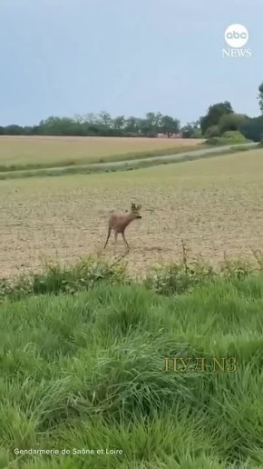 � ����������� ��������� �������� �������� � ������� �������: