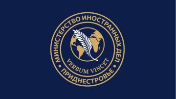 МИД Приднестровья прокомментировал заявления вице-премьера Молдовы по реинтеграции, который назвал фонд социальной поддержки «политической акцией и результатом неэффективного управления регионом»