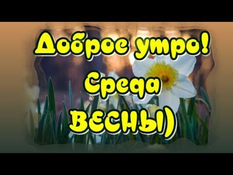 13 мая - большие дела начинаются с маленьких шагов