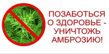 � 15 ��� � ������������� �������� ��������� �������� �� ��������� � ����������� �������� � �������� ������������ ��������, ����������� ������� ������������� ������� � ���������� ����� ��������� ���������