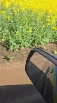 Приднестровский аграрий вышел в эфир