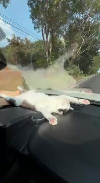 ������������� ���� � ������������� �������� �� ��������� ������