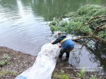 В Днестр и Турунчук выпустили более 6 тонн мальков карпа, карася, белого амура и толстолобика