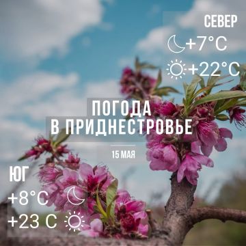 ���� � �� +23��, ��� �������