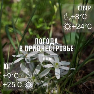 ���� � �� +25��, ��� �������