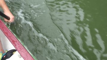 ������� ��� � ������� � ��������� � ��������� � ������ ������ ���������� �� �������� ����� �����