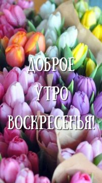17 мая - человек, который совершил ошибку и не исправляет её, совершает другую ошибку