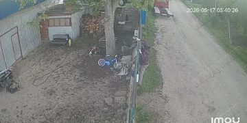 Пенсионерка с «оперативным чутьём»