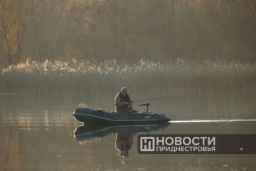 В Приднестровье разрешили лов сельди до 7 июня