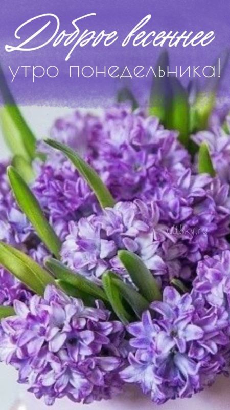 18 мая - каждый понедельник — это чистый лист